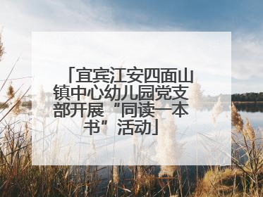 宜宾江安四面山镇中心幼儿园党支部开展“同读一本书”活动