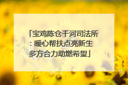 宝鸡陈仓千河司法所：暖心帮扶点亮新生 多方合力助燃希望