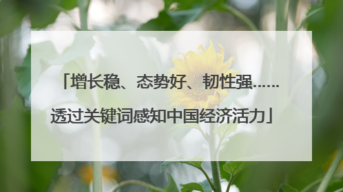 增长稳、态势好、韧性强……透过关键词感知中国经济活力