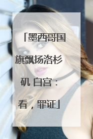 墨西哥国旗飘扬洛杉矶 白宫：看，罪证