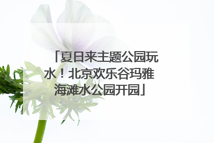 夏日来主题公园玩水！北京欢乐谷玛雅海滩水公园开园