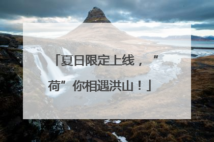 夏日限定上线，“荷”你相遇洪山！
