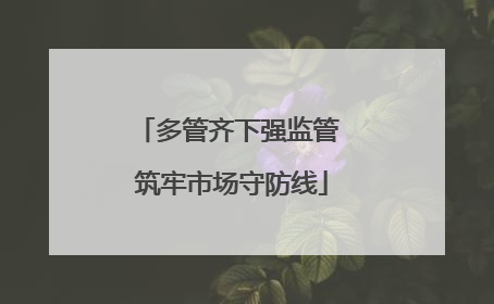多管齐下强监管 筑牢市场守防线