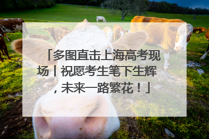 多图直击上海高考现场丨祝愿考生笔下生辉，未来一路繁花！
