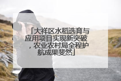 大祥区水稻选育与应用项目实现新突破，农业农村局全程护航成果斐然