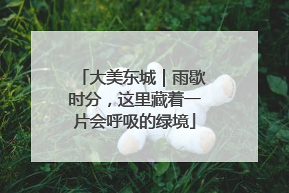 大美东城｜雨歇时分，这里藏着一片会呼吸的绿境