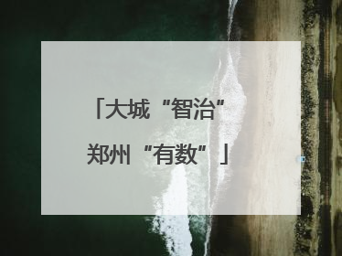 大城“智治” 郑州“有数”