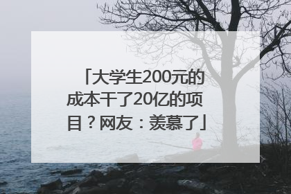 大学生200元的成本干了20亿的项目？网友：羡慕了