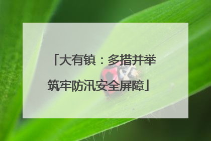 大有镇：多措并举筑牢防汛安全屏障