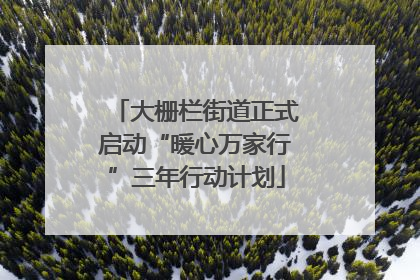 大栅栏街道正式启动“暖心万家行”三年行动计划