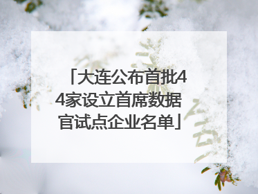 大连公布首批44家设立首席数据官试点企业名单