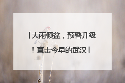 大雨倾盆，预警升级！直击今早的武汉