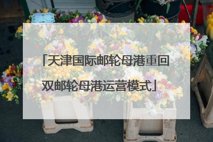 天津国际邮轮母港重回双邮轮母港运营模式