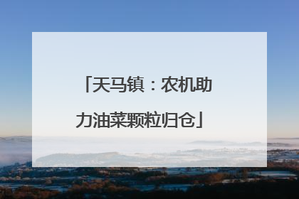 天马镇：农机助力油菜颗粒归仓