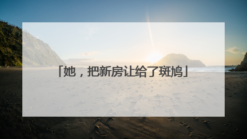她，把新房让给了斑鸠