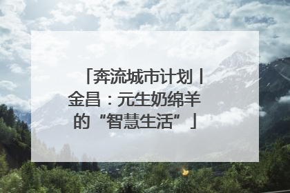 奔流城市计划丨金昌：元生奶绵羊的“智慧生活”