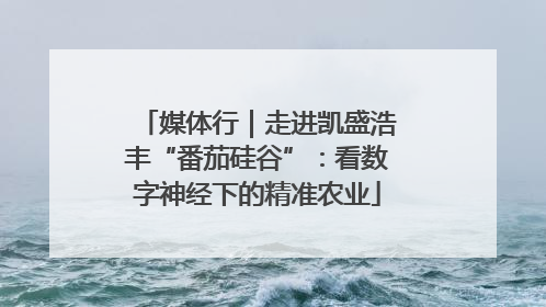 媒体行｜走进凯盛浩丰“番茄硅谷”：看数字神经下的精准农业