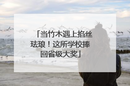 当竹木遇上掐丝珐琅！这所学校捧回省级大奖