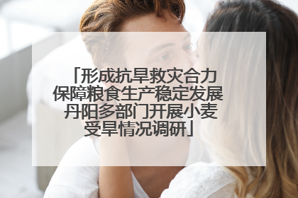 形成抗旱救灾合力 保障粮食生产稳定发展 丹阳多部门开展小麦受旱情况调研