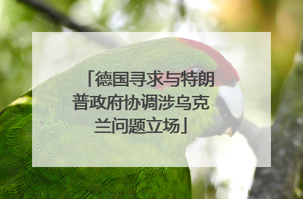 德国寻求与特朗普政府协调涉乌克兰问题立场