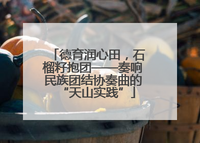 德育润心田，石榴籽抱团——奏响民族团结协奏曲的“天山实践”