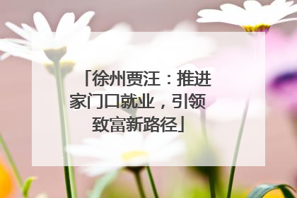徐州贾汪：推进家门口就业，引领致富新路径