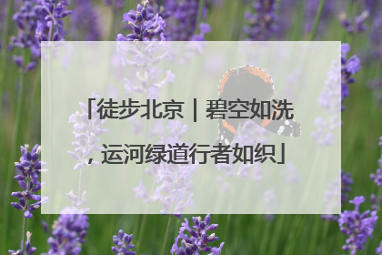 徒步北京｜碧空如洗，运河绿道行者如织