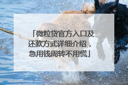 微粒贷官方入口及还款方式详细介绍，急用钱周转不用慌
