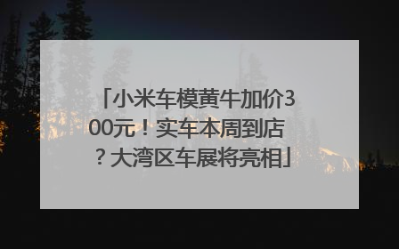 小米车模黄牛加价300元！实车本周到店？大湾区车展将亮相