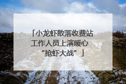 小龙虾散落收费站 工作人员上演暖心“抢虾大战”