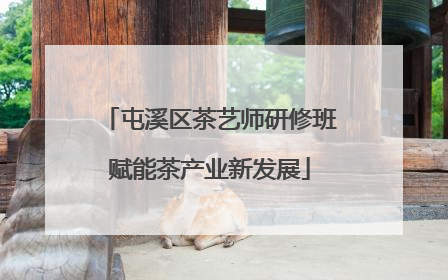 屯溪区茶艺师研修班赋能茶产业新发展