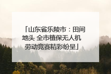 山东省乐陵市：田间地头 全市植保无人机劳动竞赛精彩纷呈