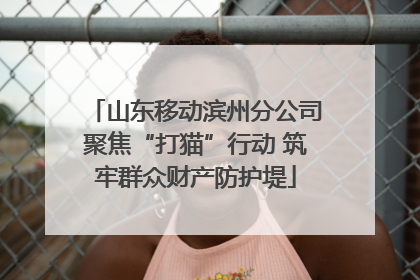 山东移动滨州分公司聚焦“打猫”行动 筑牢群众财产防护堤