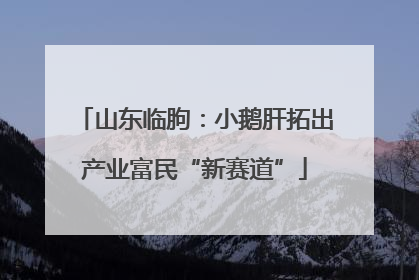 山东临朐：小鹅肝拓出产业富民“新赛道”