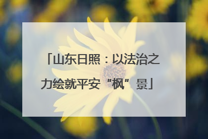 山东日照：以法治之力绘就平安“枫”景