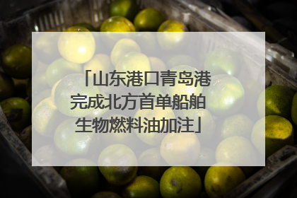 山东港口青岛港完成北方首单船舶生物燃料油加注