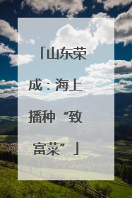 山东荣成：海上播种“致富菜”