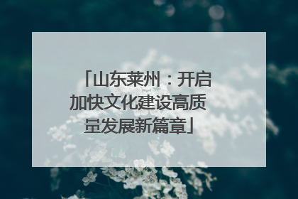 山东莱州：开启加快文化建设高质量发展新篇章