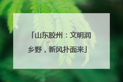 山东胶州：文明润乡野，新风扑面来