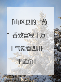 山区县的“药”香致富经丨万千气象看四川·平武③