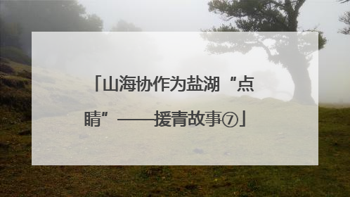 山海协作为盐湖“点睛”——援青故事⑦