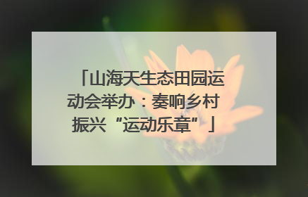 山海天生态田园运动会举办：奏响乡村振兴“运动乐章”