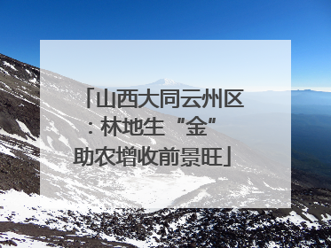 山西大同云州区：林地生“金” 助农增收前景旺