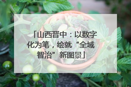 山西晋中：以数字化为笔，绘就“全域智治”新图景
