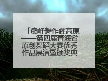 巅峰舞作耀高原——第四届青海省原创舞蹈大赛优秀作品展演暨颁奖典礼璀璨收官