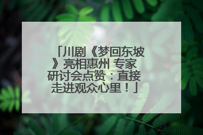 川剧《梦回东坡》亮相惠州 专家研讨会点赞：直接走进观众心里！