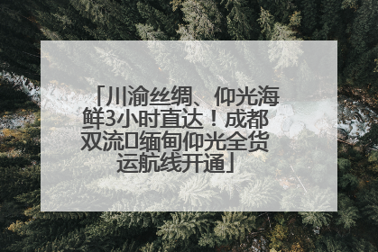 川渝丝绸、仰光海鲜3小时直达！成都双流⇌缅甸仰光全货运航线开通