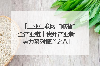 工业互联网“赋智”全产业链｜贵州产业新势力系列报道之八