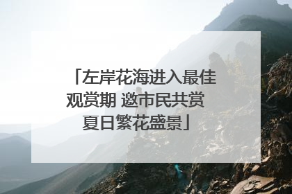 左岸花海进入最佳观赏期 邀市民共赏夏日繁花盛景