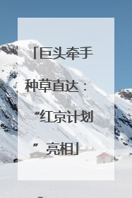 巨头牵手种草直达：“红京计划”亮相
